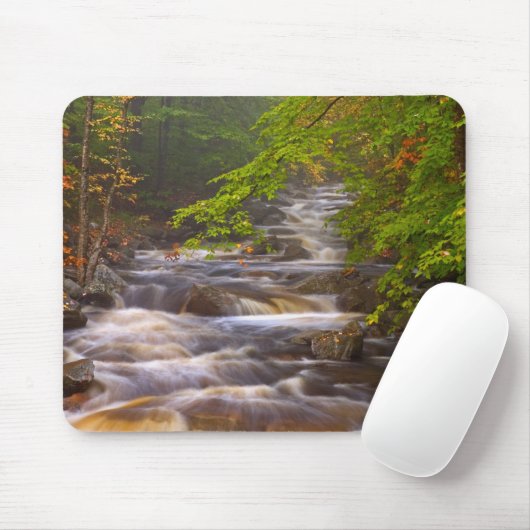 Stromen langs het Appalachian Trail Muismat (Met muis)