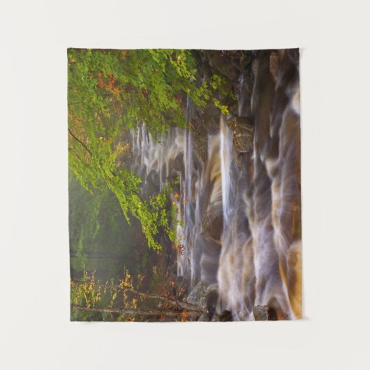 Stromen langs het Appalachian Trail Wandkleed (Voorkant)