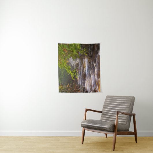 Stromen langs het Appalachian Trail Wandkleed (In situ)