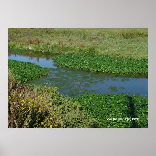 Stromen van groen poster (Voorkant)