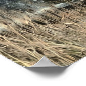 Stromend Water bij Hopkins Falls Poster (Hoek)