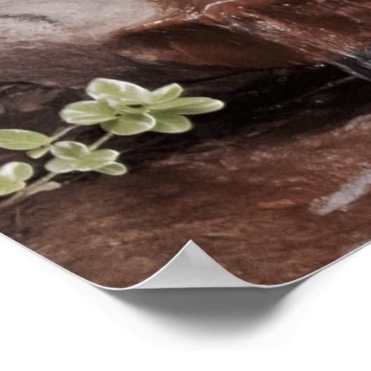 Stromend Water Poster (Hoek)