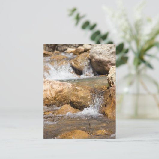 Stromende beek in de lente briefkaart (Staand voorkant)