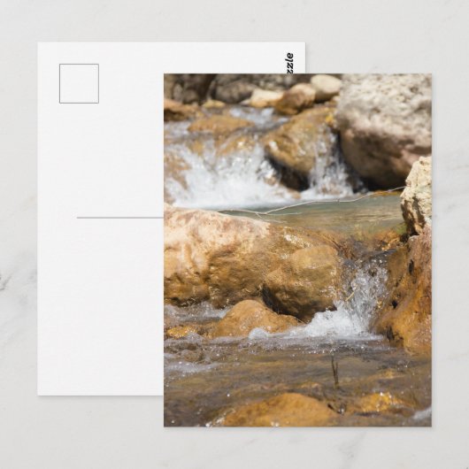 Stromende beek in de lente briefkaart (Voorkant / Achterkant)