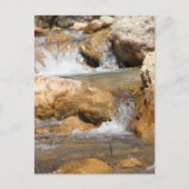 Stromende beek in de lente briefkaart (Voorkant)