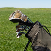 Stromende beek in de lente golfheadcover (Insitu)