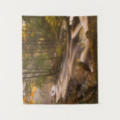 Stromende beken Appalachian Trail | Vermont Wandkleed (Voorkant)
