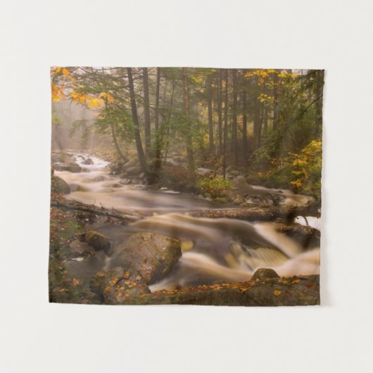 Stromende beken Appalachian Trail | Vermont Wandkleed (Voorkant (horizontaal))