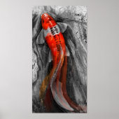 stromende Koi Poster (Voorkant)