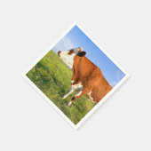 Strong Friesian cow Servet (Hoek)