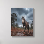 Strong Horse Under Stormy Sky Art Canvas Afdruk (Voorkant)