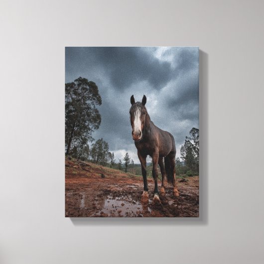 Strong Horse Under Stormy Sky Art Canvas Afdruk (Voorkant)