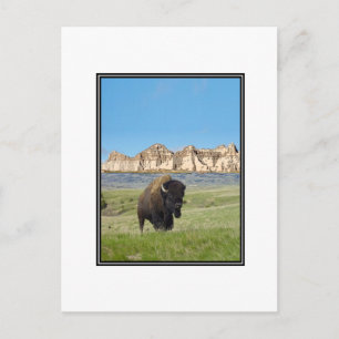 STRONGER DAN HET BRIEFKAART