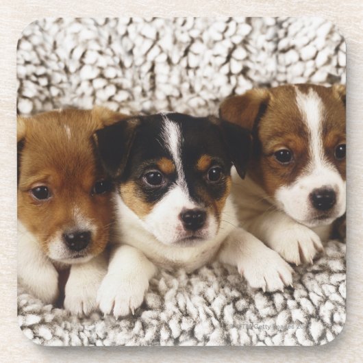 Strooisel van puppies bier onderzetter (Voorkant)