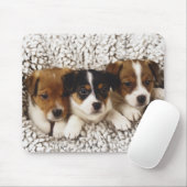 Strooisel van puppies muismat (Met muis)