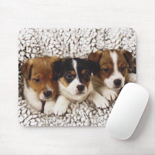 Strooisel van puppies muismat (Met muis)