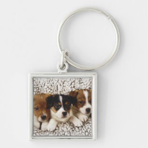 Strooisel van puppies sleutelhanger