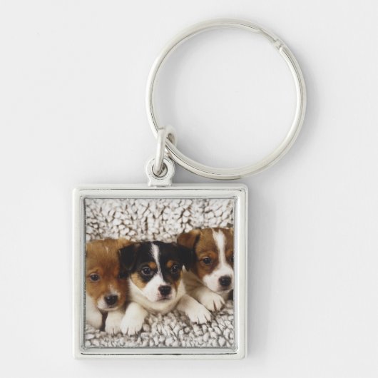 Strooisel van puppies sleutelhanger (Voorkant)