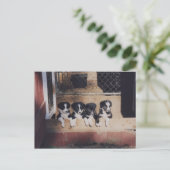 Strooisel van Puppies van de rand van het varken B Briefkaart (Staand voorkant)