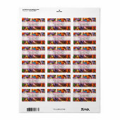 Strooit regenboog Adresetiketten Etiket (Full Sheet)