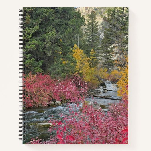 Stroom Bloeit Spiraal Notebook Notitieboek (Voorkant)