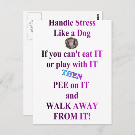 STROOM BRIEFKAART (Voorkant / Achterkant)