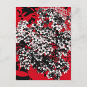 STROOM BRIEFKAART (Voorkant)