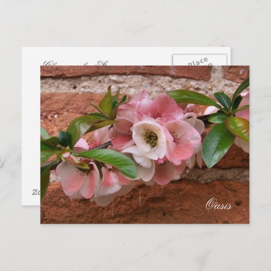 STROOM BRIEFKAART (Voorkant / Achterkant)