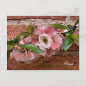 STROOM BRIEFKAART (Voorkant)