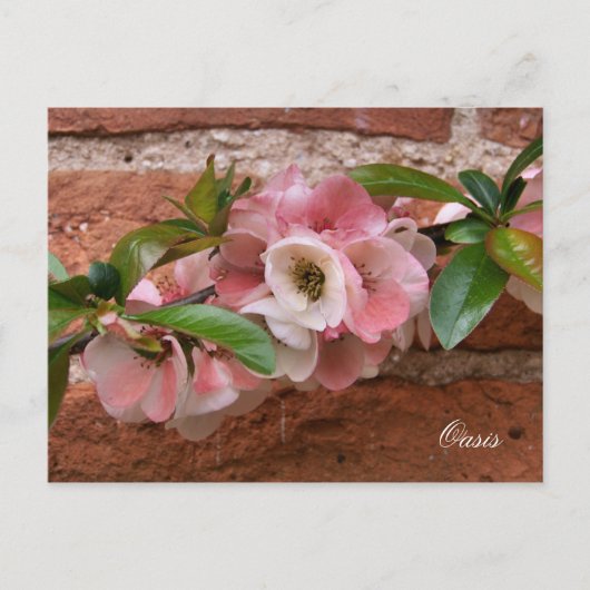 STROOM BRIEFKAART (Voorkant)