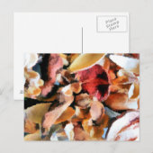 STROOM BRIEFKAART (Voorkant / Achterkant)