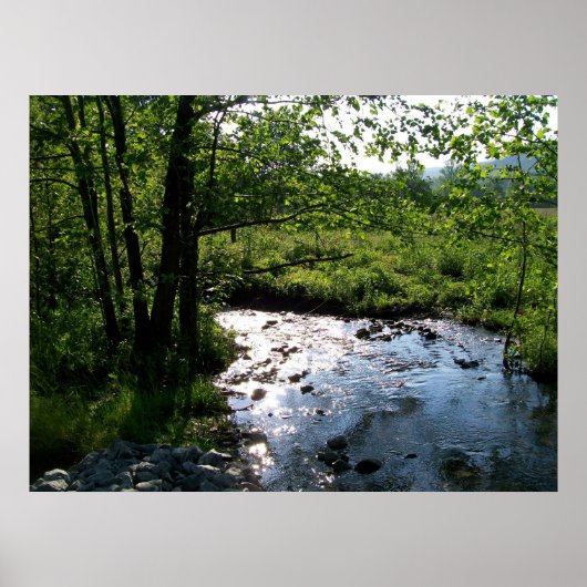 Stroom in Cades Cove Poster (Voorkant)