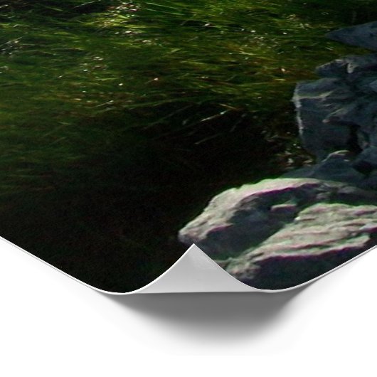 Stroom in Cades Cove Poster (Hoek)