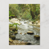 Stroom in de heuvels briefkaart (Voorkant)