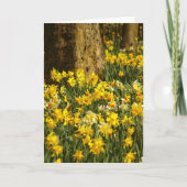 STROOM KAART (Voorkant)