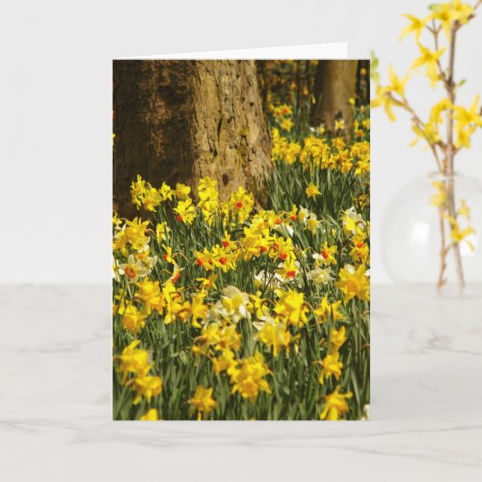 STROOM KAART (Gele Bloem)