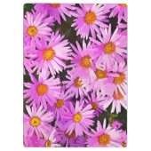 STROOM KLEMBORD (Achterkant)