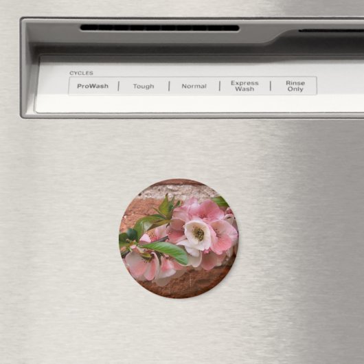 STROOM MAGNEET (Insitu (Vaatwasser))