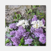 STROOM MAGNEET (Voorkant)