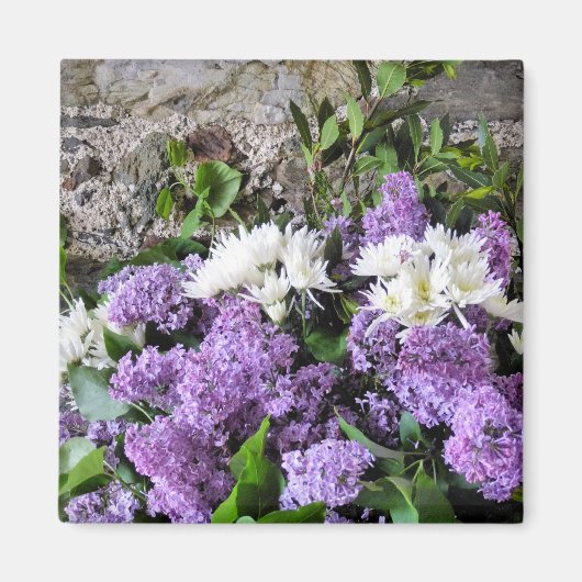 STROOM MAGNEET (Voorkant)