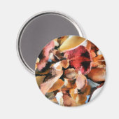 STROOM MAGNEET (Voorkant / Achterkant)