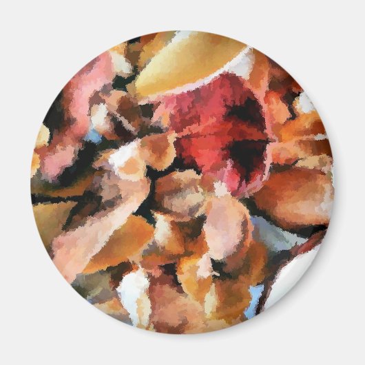 STROOM MAGNEET (Voorkant)