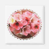 STROOM MAGNEET (Voorkant)