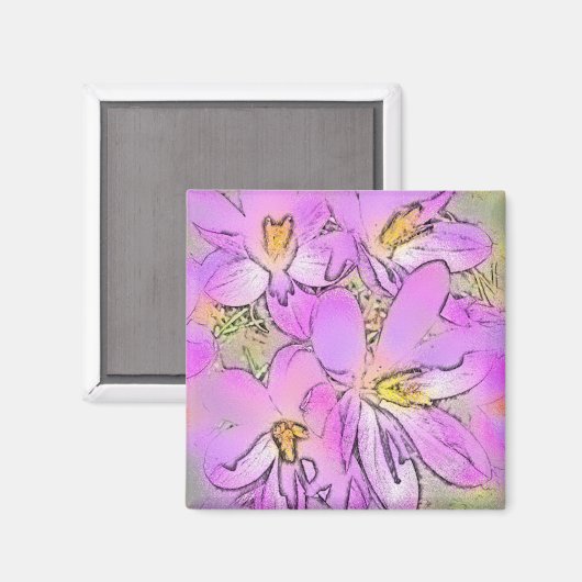 STROOM MAGNEET (Voorkant / Achterkant)