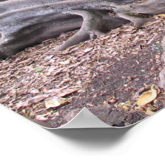 Stroom Poster (Hoek)