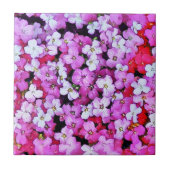 STROOM TEGELTJE (Voorkant)