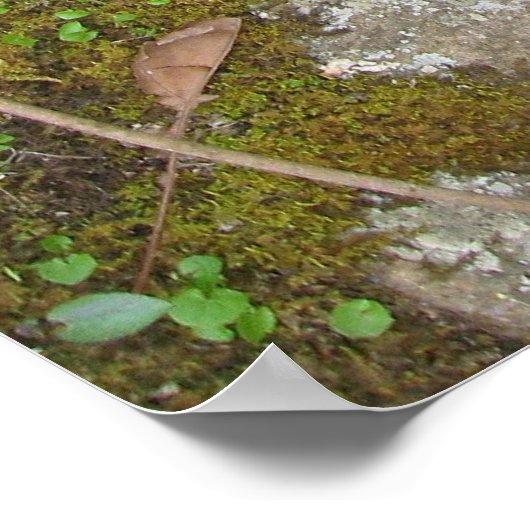 stroom van bewustzijn poster (Hoek)