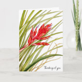 STROOM VAN DE KAART VAN DE NATUUR (Voorkant)