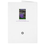 STROOM VAN MOM/PURPLE STROMEN DIE OVER STONE W KAS (Achterkant)