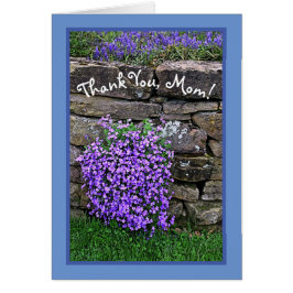 STROOM VAN MOM/PURPLE STROMEN DIE OVER STONE W KAS